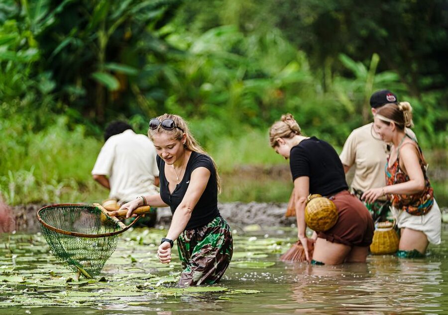 Ninh Binh: Buffalo riding, rice planting group tour - Practical advice for a smoother morning