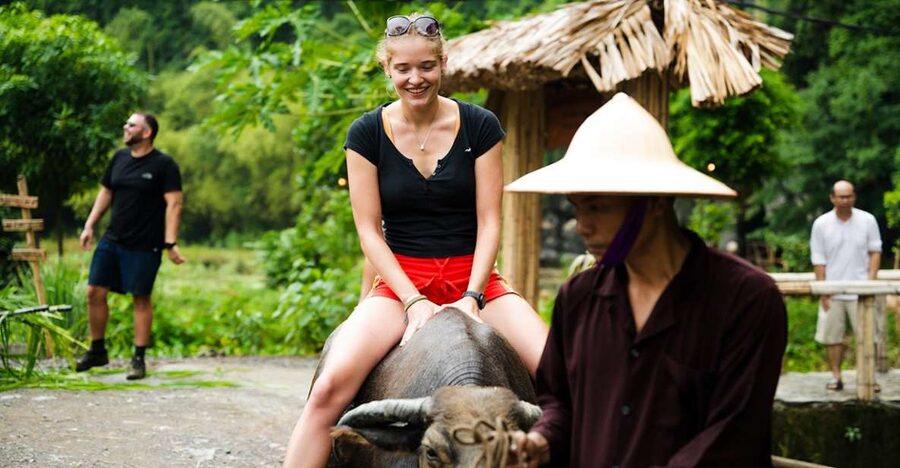 Ninh Binh: Buffalo riding, rice planting group tour - What this four-hour rural morning really offers