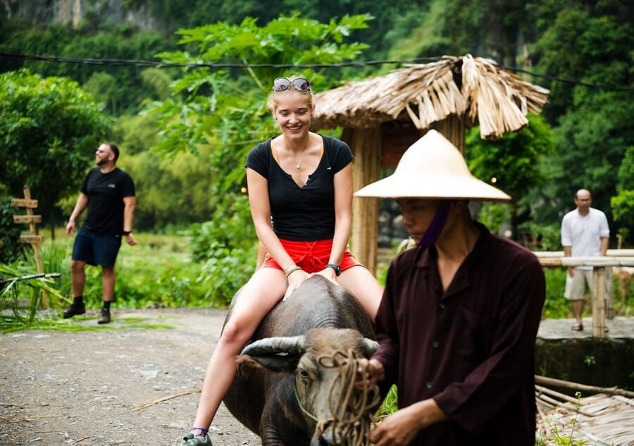 Ninh Binh: Buffalo riding, rice planting group tour - Fishing with a nơm, a tool worth trying