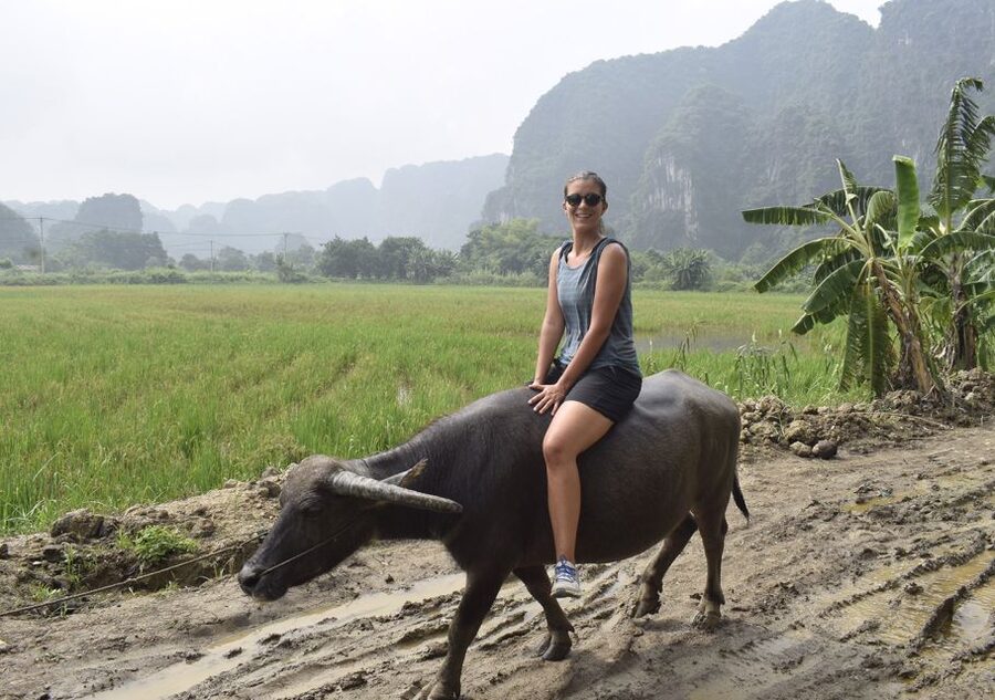Ninh Binh: Buffalo riding, rice planting group tour - Waterfall bathing and a visit to Buffalo Cave