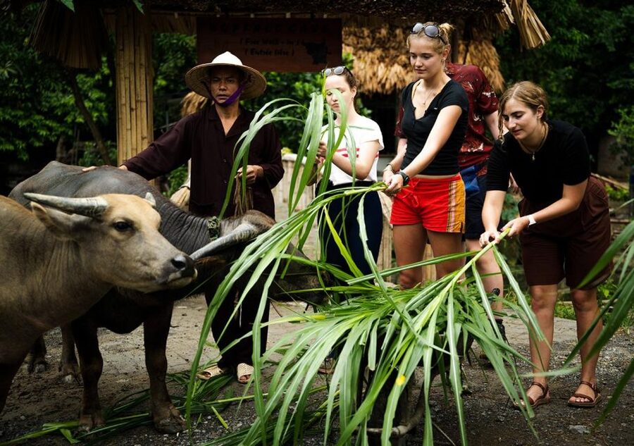 Ninh Binh cooking class at Buffalo Cave - Who will enjoy this most
