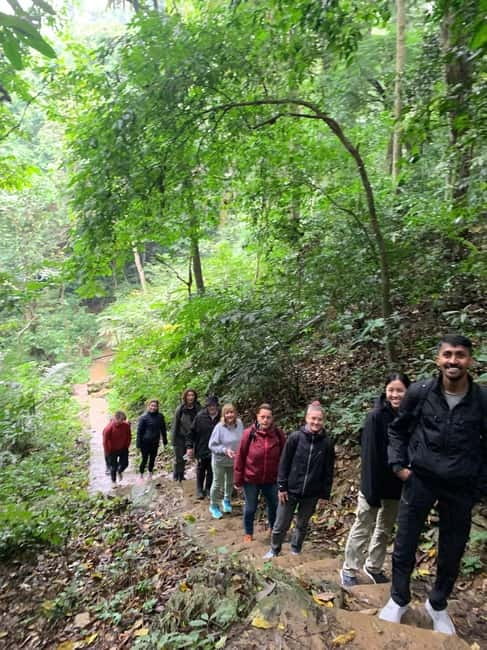 Ninh Binh: Cuc Phuong Jungle Hike & Wildlife Day Trip - The Cay Cho tree and the prehistoric cave