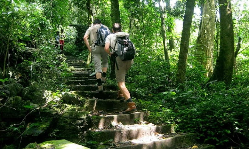 Ninh Binh : Cuc Phuong National Park One Day Group Tour - The primate rescue center and Botanical Garden