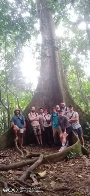 Ninh Binh : Cuc Phuong National Park One Day Group Tour - The Cave of Prehistoric Man