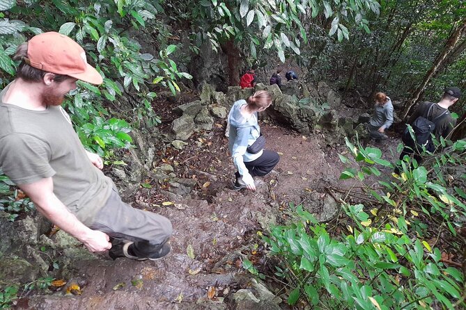 Ninh Binh: Cuc Phuong Natonal Park, Jungle Hike, Caving, Guide - Why Cuc Phuong makes a strong day trip from Ninh Binh