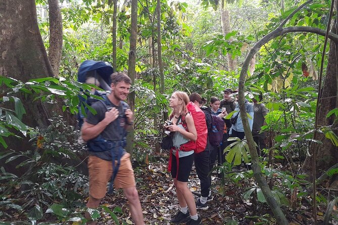 Ninh Binh: Cuc Phuong Natonal Park, Jungle Hike, Caving, Guide - Starting from Ninh Binh between 8:15 and 8:45 a.m.