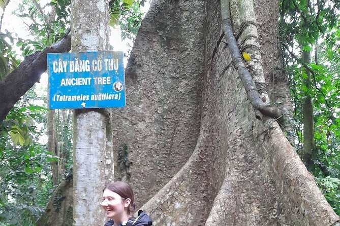 Ninh Binh: Cuc Phuong Natonal Park, Jungle Hike, Caving, Guide - The Cave of Prehistoric Man, an optional extra