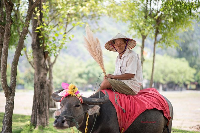 Ninh Binh Daily Tour: Hoa Lu - Tam Coc boat trip and Bike - Vietnamese buffet lunch at a local restaurant