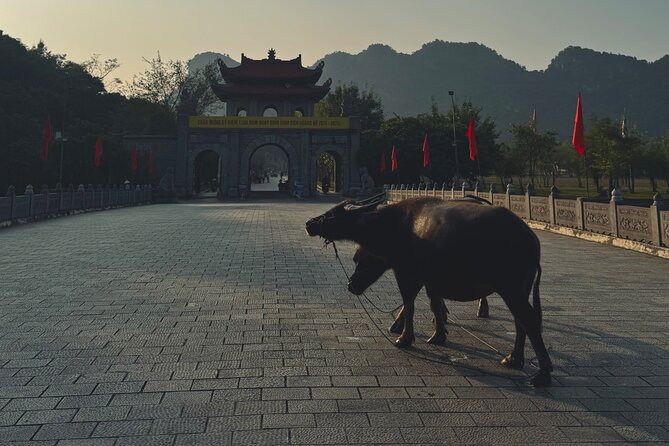 Ninh Binh Day Escape from Hanoi: Local Life, Connection & Tales - Why this Ninh Binh day trip works