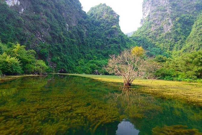 Ninh Binh Day Tour: Bai Dinh Trang An boat trip - Trang An boat trip through caves and tunnels