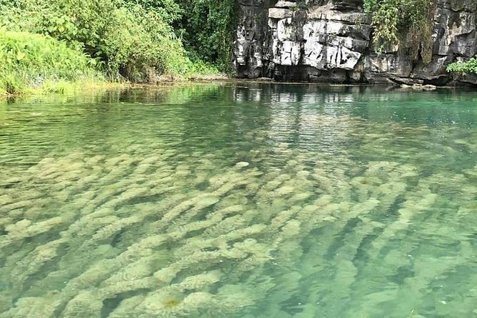 Ninh Binh Day Tour: Bai Dinh Trang An boat trip - Who should choose this tour