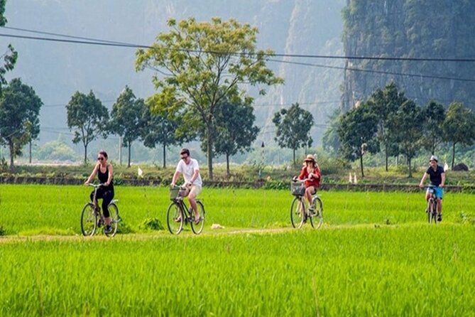Ninh Binh Day Tour to Hoa Lu Trang An Mua Cave with Buffet Lunch - Guide, group size, and the pace of the day