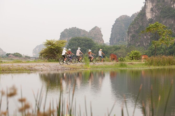 Ninh Binh Day Tour To Visit Hoa Lu - Trang An/Tam Coc - Mua Cave - Mua Cave and the 500-step climb
