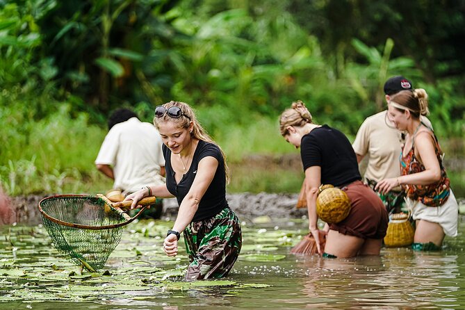 Ninh Binh eco group tour - Buffalo riding, rice planting, fishing - A muddy, cheerful introduction to rural Ninh Binh