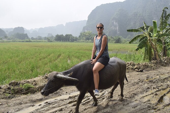 Ninh Binh eco group tour - Buffalo riding, rice planting, fishing - Rice planting and harvesting in the field