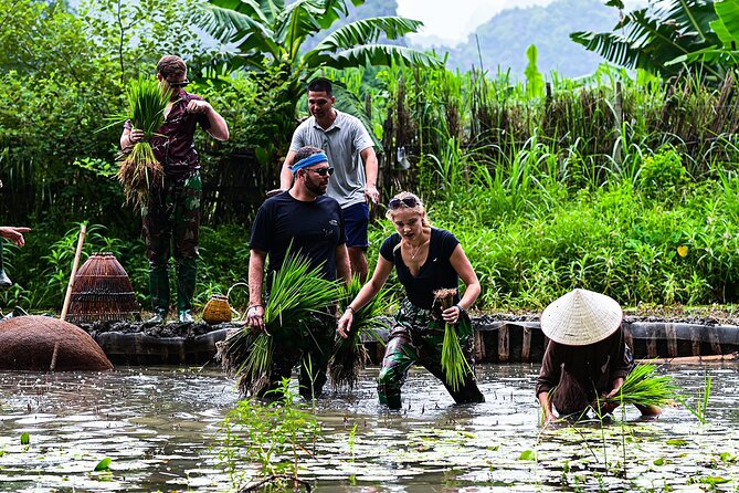 Ninh Binh eco group tour - Buffalo riding, rice planting, fishing - Fishing by hand and with simple equipment