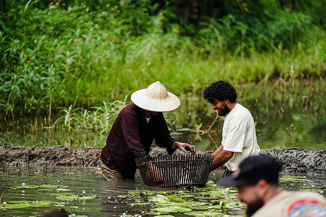 Ninh Binh eco group tour - Buffalo riding, rice planting, fishing - Buffalo Cave and the Tam Coc setting