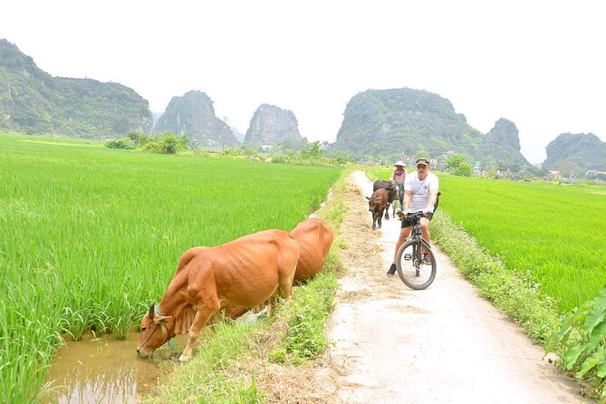 Ninh Binh Full-Day Small Group of 9 Guided Tour from Hanoi - Who will enjoy this tour most