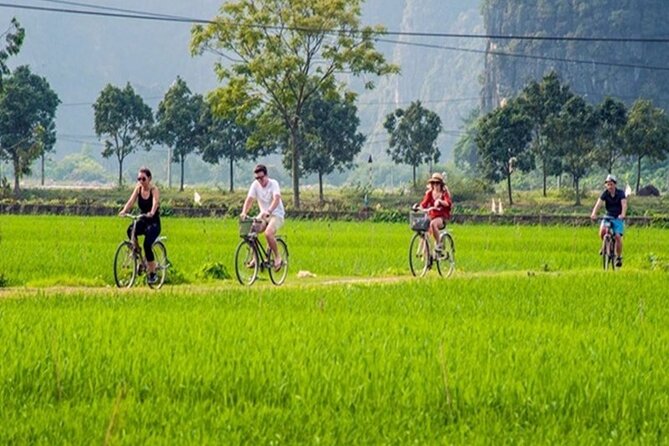 Ninh Binh Full Day Tour to Hoa Lu Tam Coc Mua Cave Buffet Lunch - What the $45 price really covers