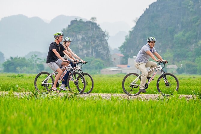 Ninh Binh Full Day Tour with Hoa Lu, Tam Coc and Mua Cave - A Vietnamese lunch with goat meat and fried rice