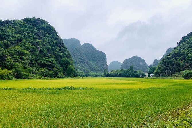 Ninh Binh Full Day Trip From Hanoi To Hoa Lu, Trang An, Mua Cave - Key points to know before booking
