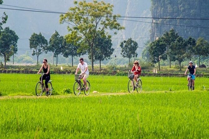 Ninh Binh Full-Day Trip to Trang An Mua Cave Hoa Lu Buffet Lunch - Guides who shape the day