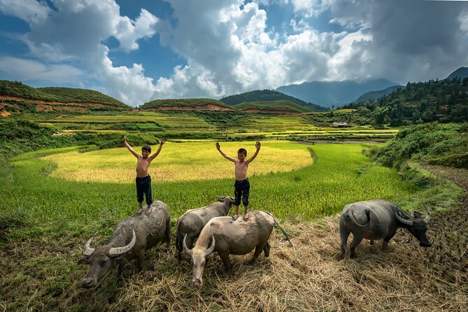 Ninh Binh Group Tour of 11 from Hanoi via Mua Cave Tam Coc Hoa Lu - How the guides shape the day