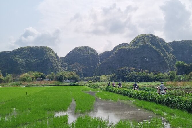 Ninh Binh HIGHTLIGHT & HIDDEN GEM Tour From Hanoi: Skip-The-Line - Bich Dong Pagoda and its cave temple