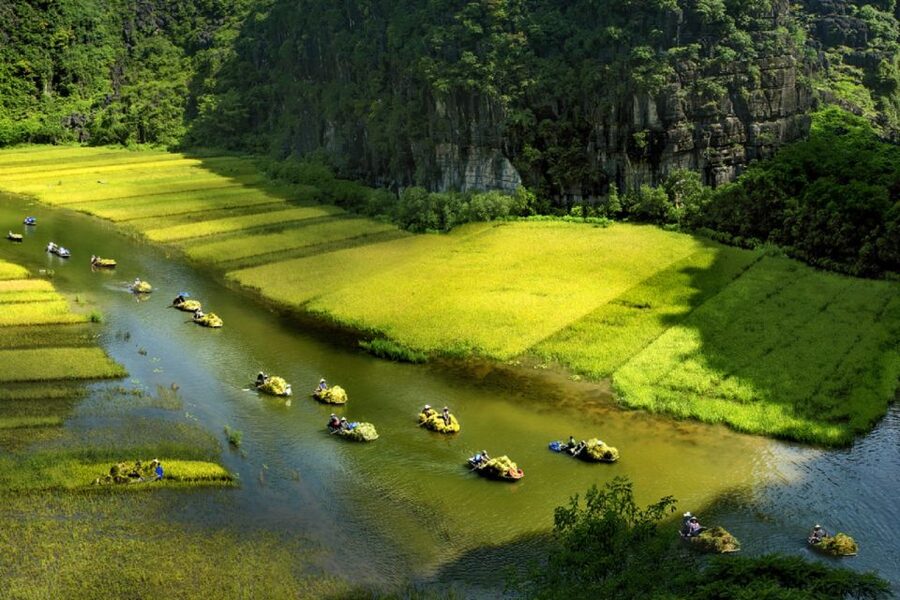 Ninh Binh: Hoa Lu, Trang An and Mua Caves Hiking Day Trip - Who should book this Ninh Binh tour?