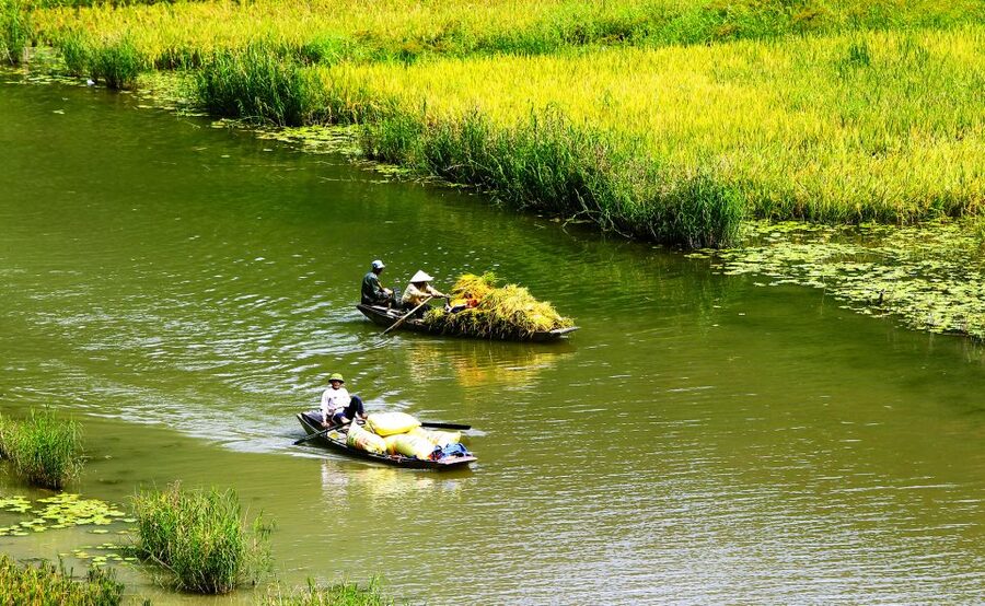 Ninh Binh: Hoa Lu, Trang An and Mua Caves Hiking Day Trip - Hoa Lu and the temples of Vietnam’s first capital