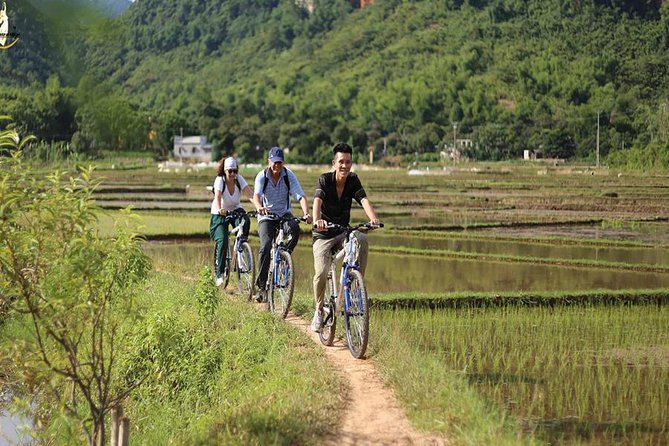 NINH BINH MEMORABLE DAY: Hoa Lu, Mua Cave, boat trip Tam Coc, Trang An optional - Trang An, the longer and more dramatic boat route