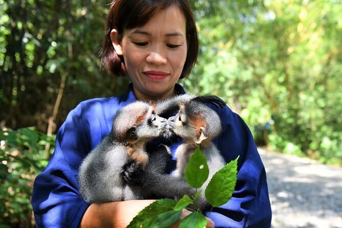 Ninh Binh One Day Cuc Phuong National Park Small Group Tour - Key points to know before you book