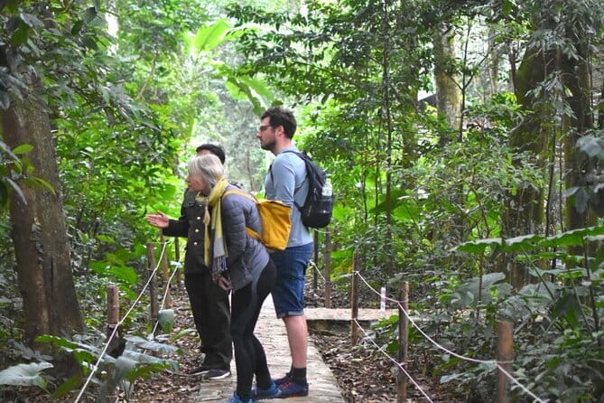 Ninh Binh One Day Cuc Phuong National Park Small Group Tour - Choosing the Thousand Year Old Tree or Ancient Tree route