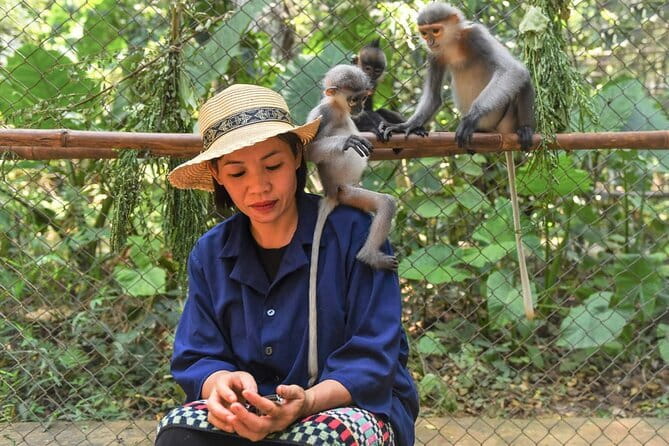 Ninh Binh One Day Cuc Phuong National Park Small Group Tour - The 8:30 am pickup from Tam Coc