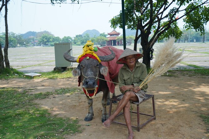 Ninh Binh One Day Trips- from Hanoi - What $35 really includes