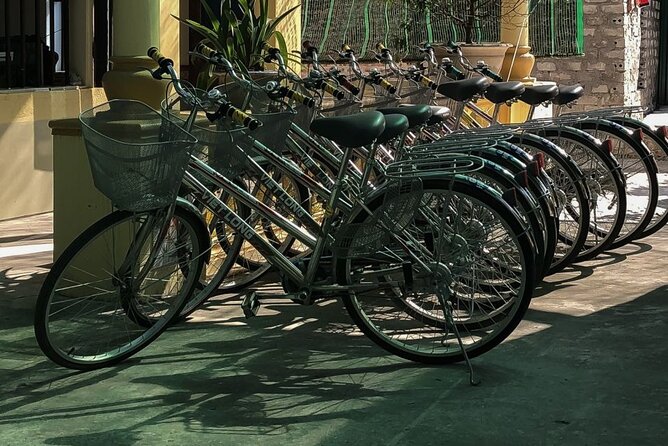 Ninh Binh Private VIP Tour - Cycling through Ninh Binh’s quieter roads