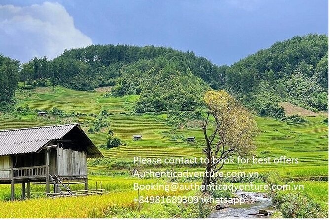 Ninh Binh - Pu Luong | Best Optional Choices | 3 - 4 days Tours - The guide can shape the whole trip