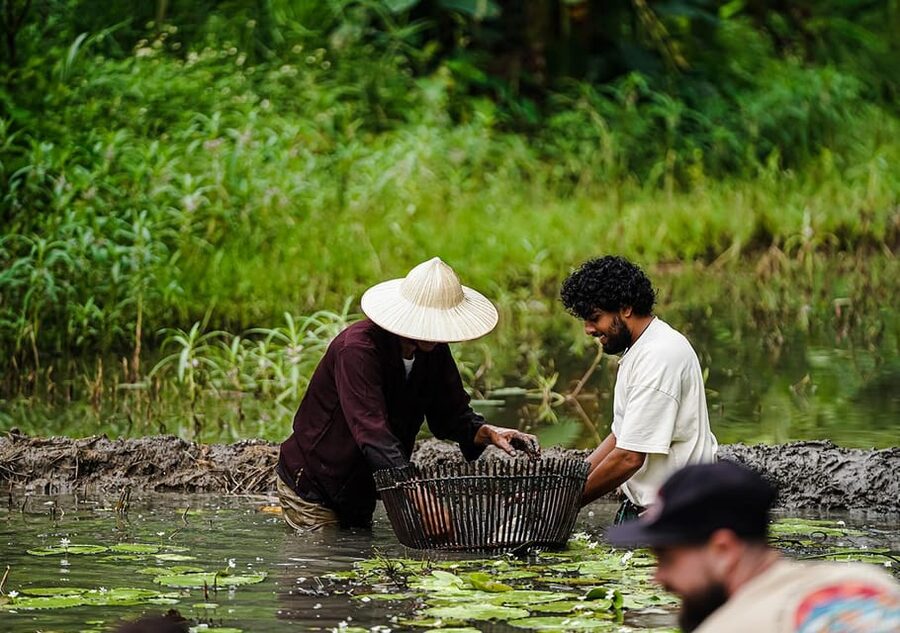 Ninh Binh: Rice planting and fishing by basket tour - A working farm near Tam Coc, not a stage show