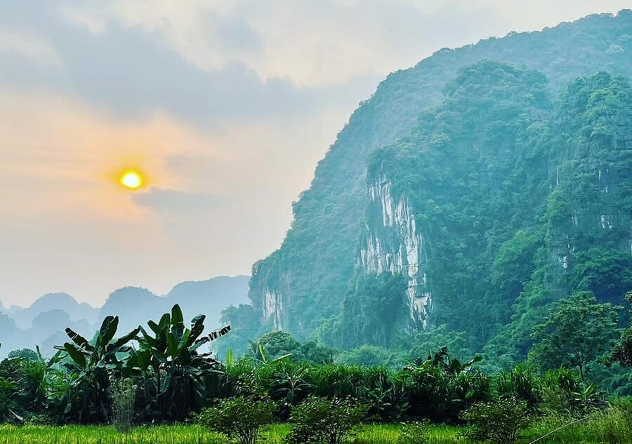 Ninh Binh: Rice planting and fishing by basket tour - Planting Vietnamese rice with local farmers