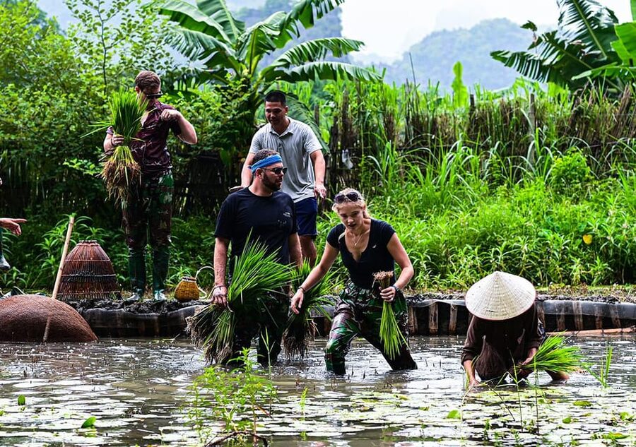 Ninh Binh: Rice planting and fishing by basket tour - Trying nom fishing from 9:30 to 10:00