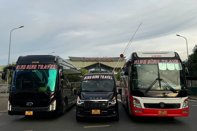 Ninh Binh to Cat Ba Luxury Transportation with D-Class Limousine - Key points at a glance