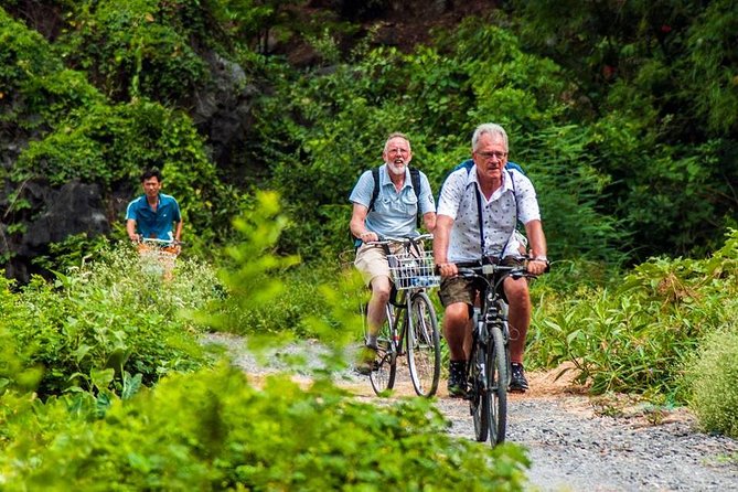 Ninh Binh Tour Hoa Lu Tam Coc Full Day: Biking,Boating,Tickets,Lunch, Limousine - The Tam Coc boat ride through three caves