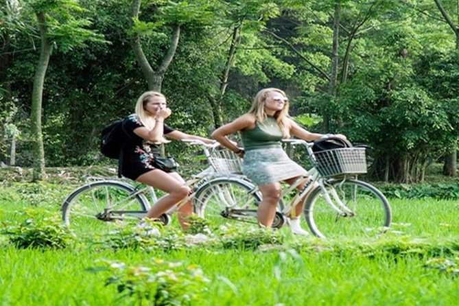 Ninh Binh Tour Hoa Lu Tam Coc Full Day: Biking,Boating,Tickets,Lunch, Limousine - A short cycle through villages and rice fields