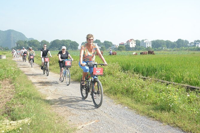 Ninh Binh: Trang An, Bai Dinh, Hoa Lu, Mua Cave, Small Group Tour - Mua Cave and the 500-step finish