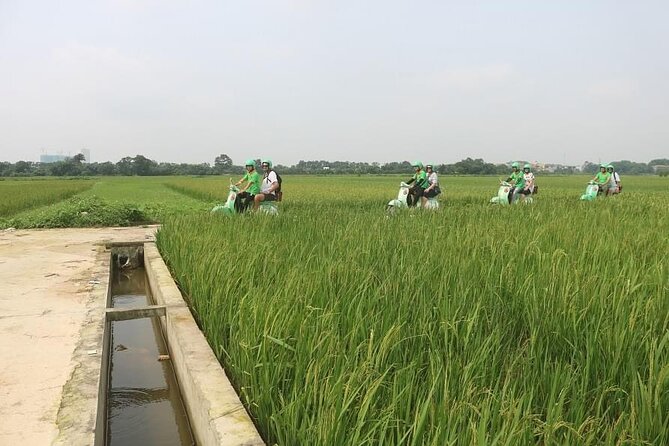 Ninh Binh Vespa Start from Hanoi + Boat + Villages +Rice Paddies - Why the Vespa is the right way to see Ninh Binh