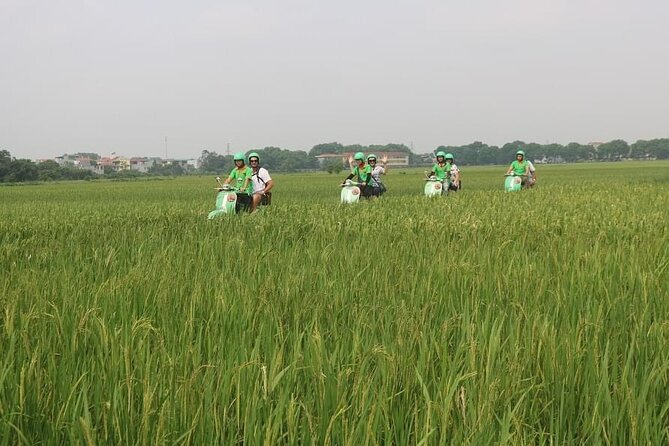 Ninh Binh Vespa Start from Hanoi + Boat + Villages +Rice Paddies - A local lunch around 12:30 p.m.