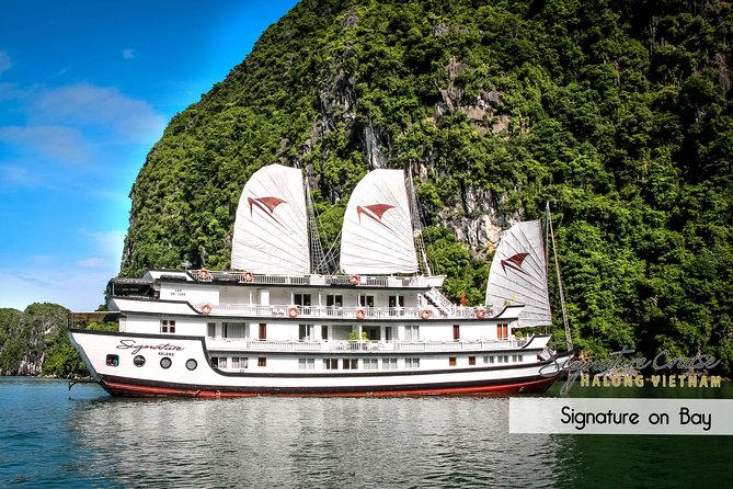 (Official) Signature Halong Cruise - 03 days 02 nights program - The final morning and Thien Canh Son Cave