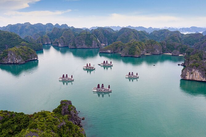 Orchid Trendy Cruises 2Days/1 Night 5 Star Cruises - Halong Bay and the move toward Lan Ha Bay