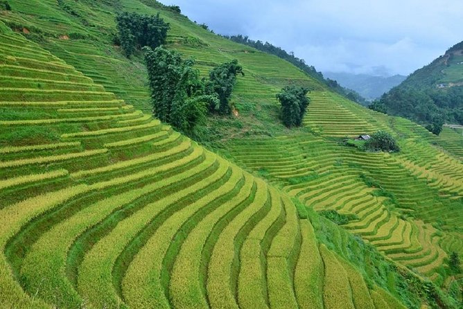 Private Car and Tour Guide Exploring Northern Vietnam - What you get, and what you still pay for