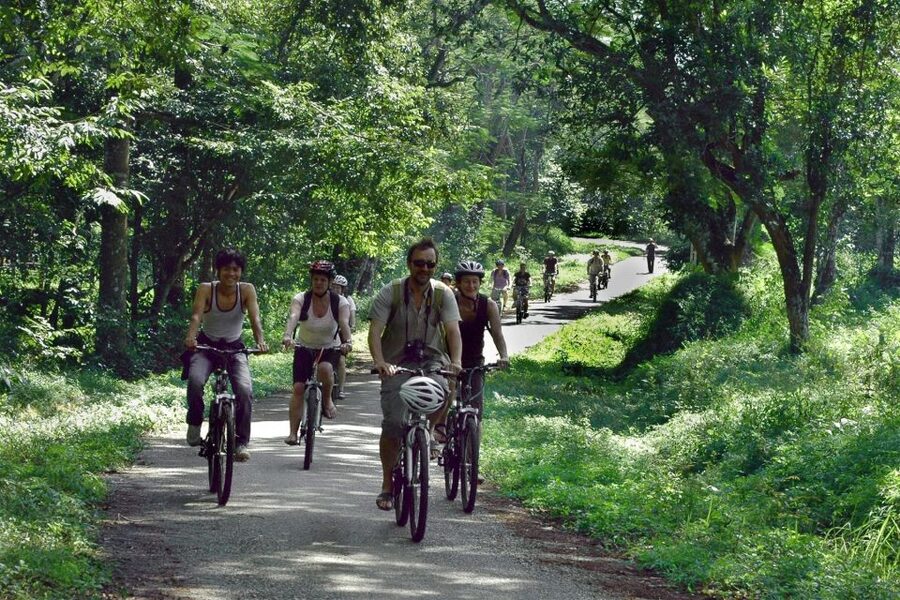Private Day Tour: Cuc Phuong National Park from Hanoi - Who will enjoy this day most